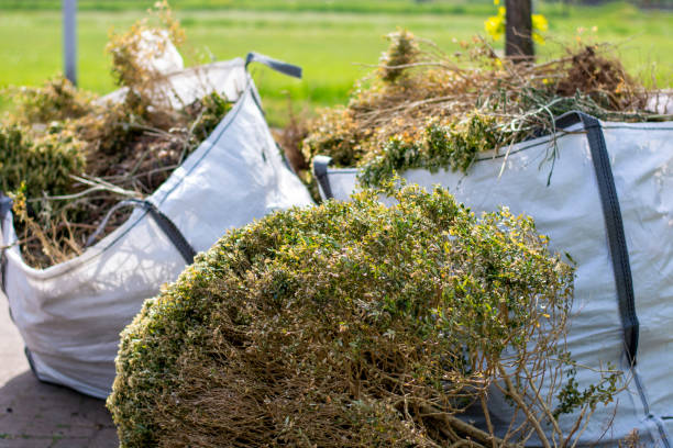 Best Moving and Downsizing Cleanouts  in Vidalia, GA